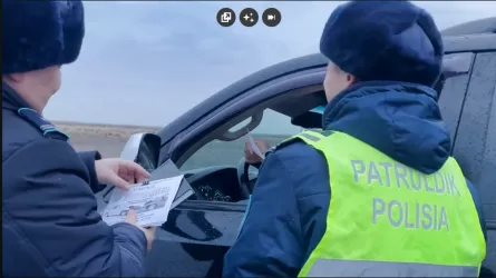 Сразу 17 пьяных водителей задержали на дорогах области Абай 