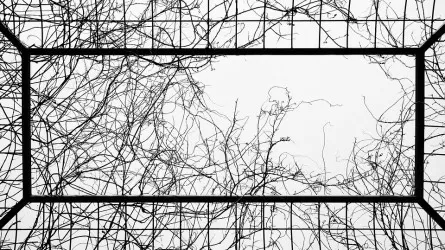 Опекунами были судимые и психбольные в Акмолинской области 