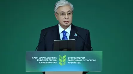 Президент отметил стратегическую роль аграрного сектора