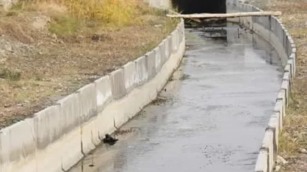 Сколько каналов одновременно реконструируют в Жамбылской области 