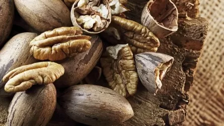 Орехи, бобовые и клетчатка: рецепты для чистых сосудов 