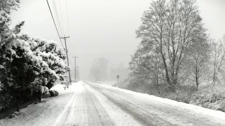 Гололед, туман и метель ожидаются в разных регионах Казахстана 