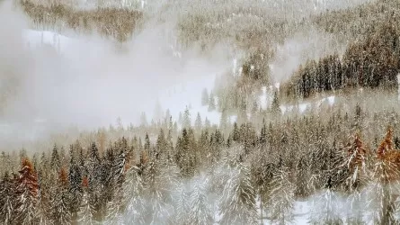Школьников перевели на удаленку из-за-сильного ветра в Казахстане 
