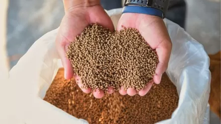 Алматы және Қостанай облыстарында 58 млн долларлық жем зауыттарының құрылысы басталмақ