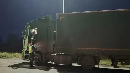 Миграционные изъятия для казахстанцев в России и Беларуси пока не заработали 