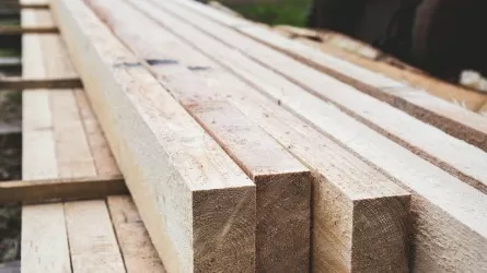 Казахстан вводит запрет на экспорт отдельных лесоматериалов 