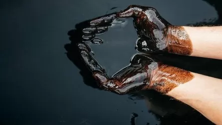 Стажер из "КазМунайГаза" заработал 250 млн долларов