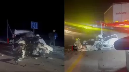 Алматыдағы жол апаты 2 адамның өмірін жалмады