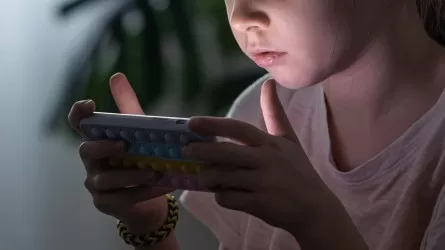 Школы и вузы переведены на онлайн-обучение в Бишкеке 