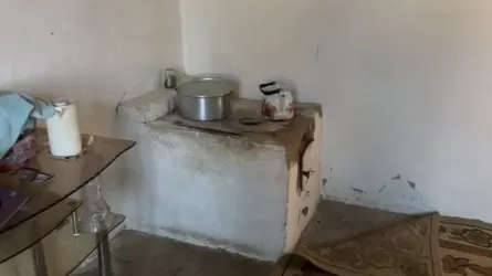 Түркістан облысында бір отбасынан 7 адамға иіс тиіп уланды