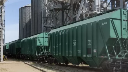 Астық экспортындағы кідірістің себебі айтылды