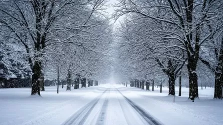 Метели, гололед и туман: где объявлено штормовое предупреждение