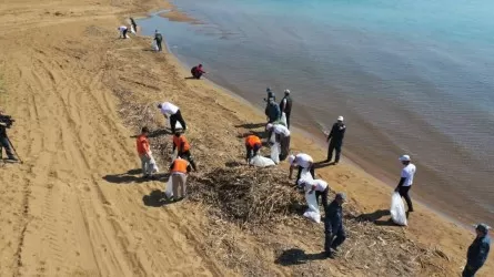 Еліміздің су айдындары 60 000 тоннаға жуық қоқыстан тазартылды