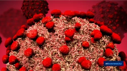 В России рассказали правду о «новом вирусе»: что важно знать казахстанцам 