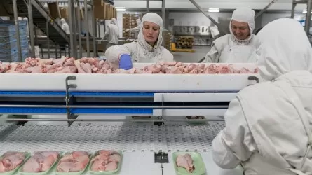 Құс етінің 21%-ы елімізге сырттан жеткізіледі 