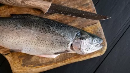 В меню казахстанцев не появятся осетровые с Каспия