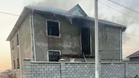 Жетісайдағы өрт: Вице-премьер құзырлы министрліктерге тапсырма берді