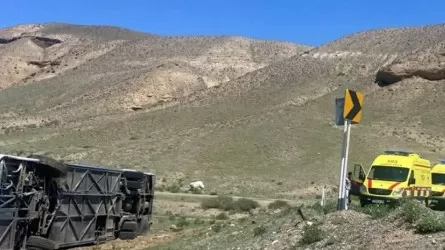 Қазақстанда жол апаты жиі болатын учаскелер анықталды