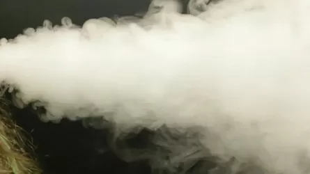 Поставки запрещенного товара из России наладил онлайн-торговец из РК