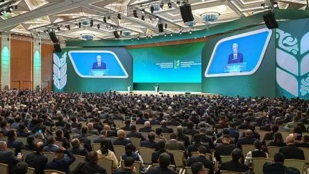 Биыл ауыл шаруашылығына арналған жеңілдетілген несие көлемі 1 трлн теңгеден асты – Президент