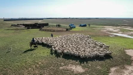 2029 жылға дейін «Ауыл аманаты» бағдарламасына 600 млрд теңгеге жуық қаражат бөлінеді