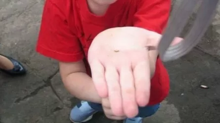 Алматыда қайырымдылық қорының басшысы жасөспірімге базардан ақша жинатқан