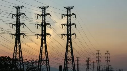 Алдағы 5 жылда Қазақстан ауылдарында 79 мың км электр желісі жаңартылады