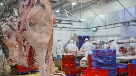 Қазақстан етті экспорттаушы ірі елдердің бірі бола алады – Қасым-Жомарт Тоқаев