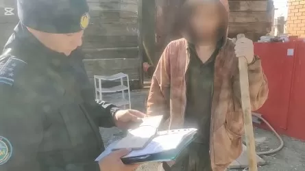 Большая часть нелегалов превысила сроки пребывания в области Абай  