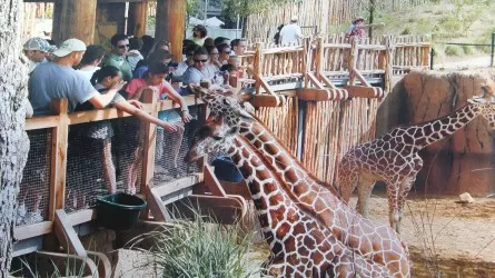 Алматы зообағы жаңғыртудан өтеді