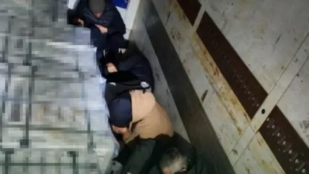 Шекарадан жүк көлігімен заңсыз өтпек болған 10 мигрант  ұсталды