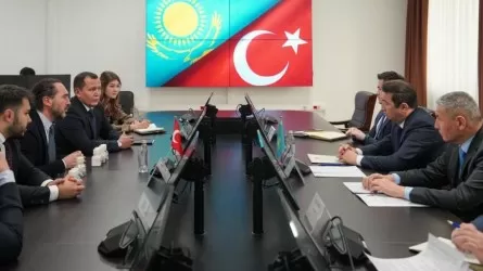 Түркиялық компания Қазақстанда желатин өндіретін зауыт салады