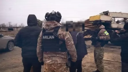 Десятки казахстанцев состояли в преступной ОПГ по незаконной вырубке леса 