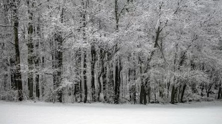 Казахстан накрыли снегопады и метели 
