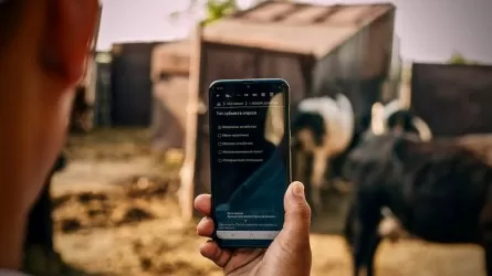 Абай облысындағы 233 елдімекенде интернет жоқ – сенатор