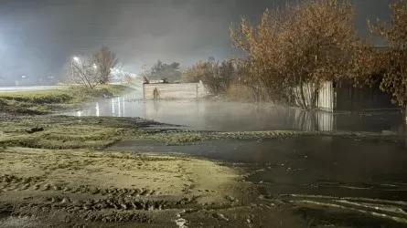 Фекальная река хлынула на жилой дачный массив в Костанае