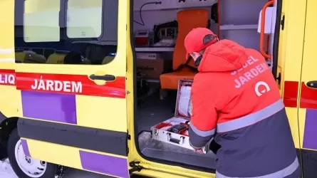 Доссорда анасы мен балалары газдан уланды