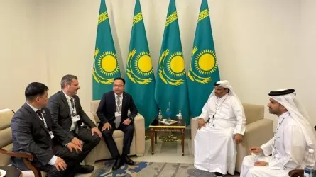 Казахстан продвигает сохранение сайгака на мировом уровне 