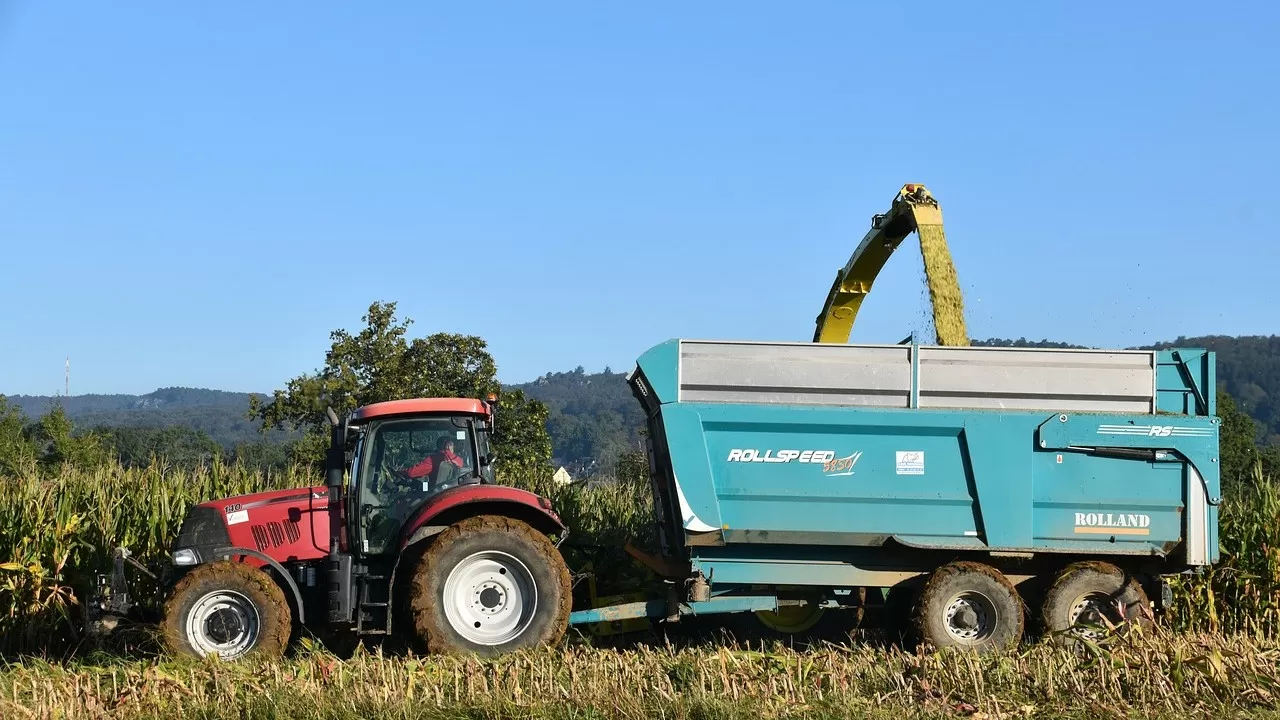 Казахстан расширяет производство продукции глубокой переработки зерна 