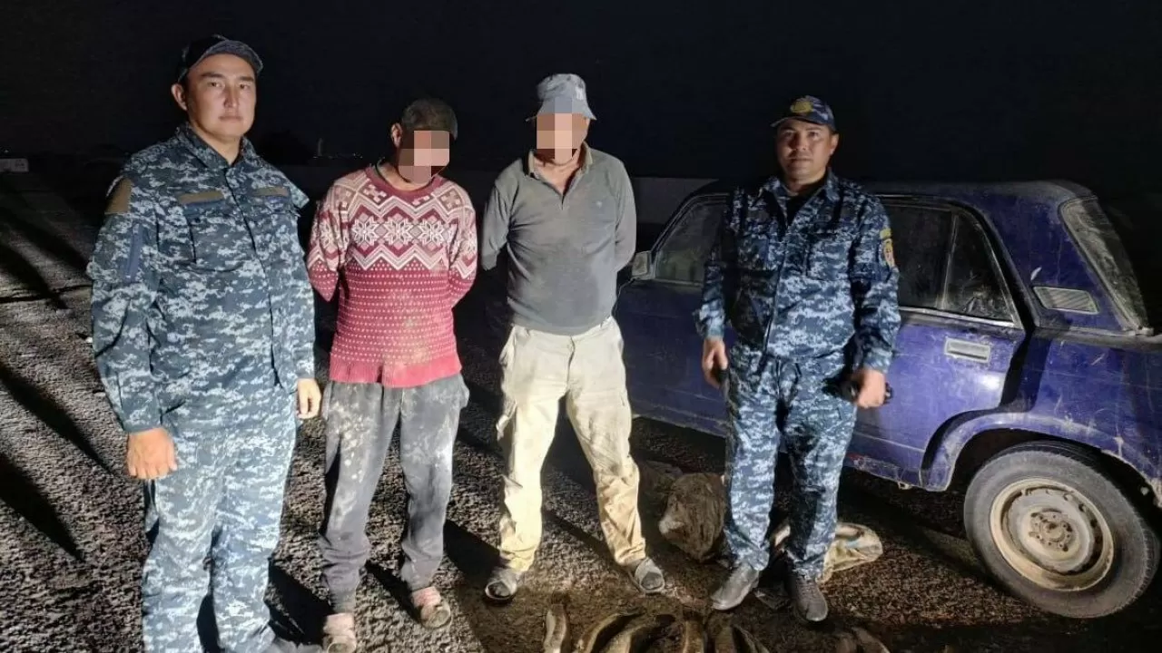 Шардара су қоймасынан 100 келіге жуық заңсыз ауланған балық тәркіленді