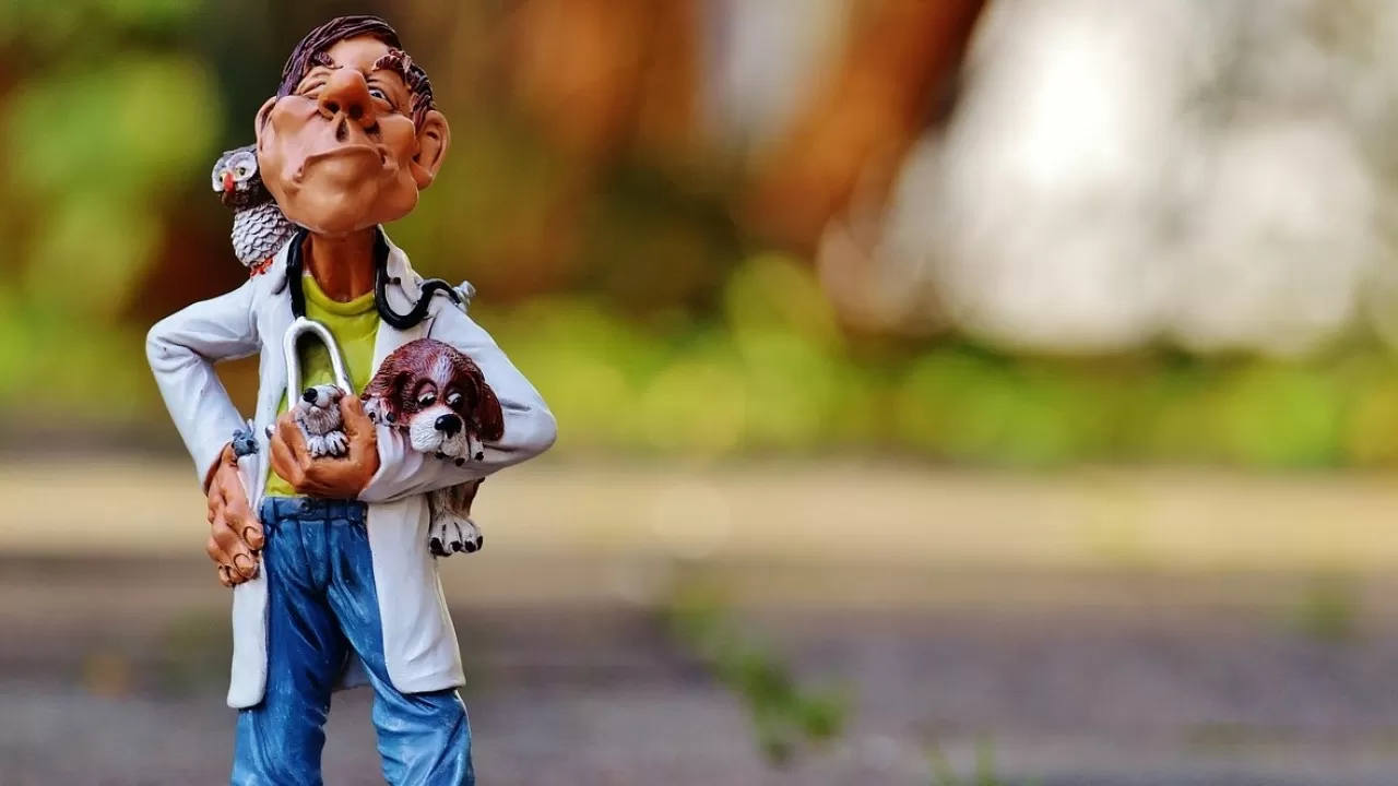 Приписки при вакцинации животных вскрыли в СКО  