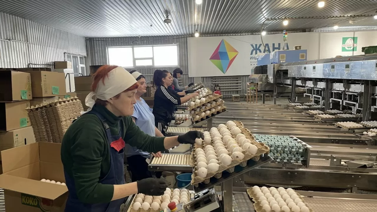 Қазақстанға тауық жұмыртқасын әкелуге тыйым салынды