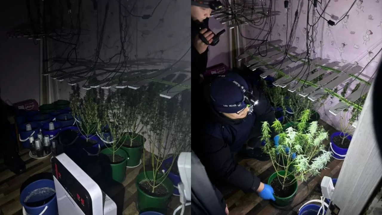 Прямо в квартире житель Уральска создал нарколабораторию 