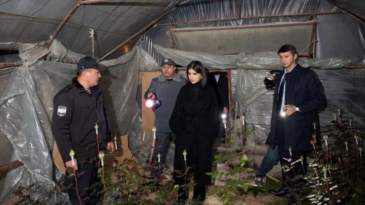 Дочь президента Узбекистана вышла в ночной рейд