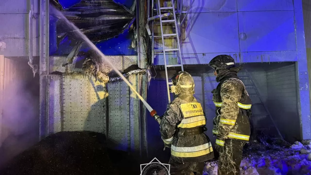 В Петропавловске при -35 пожарные спасали зерносушилку от огня