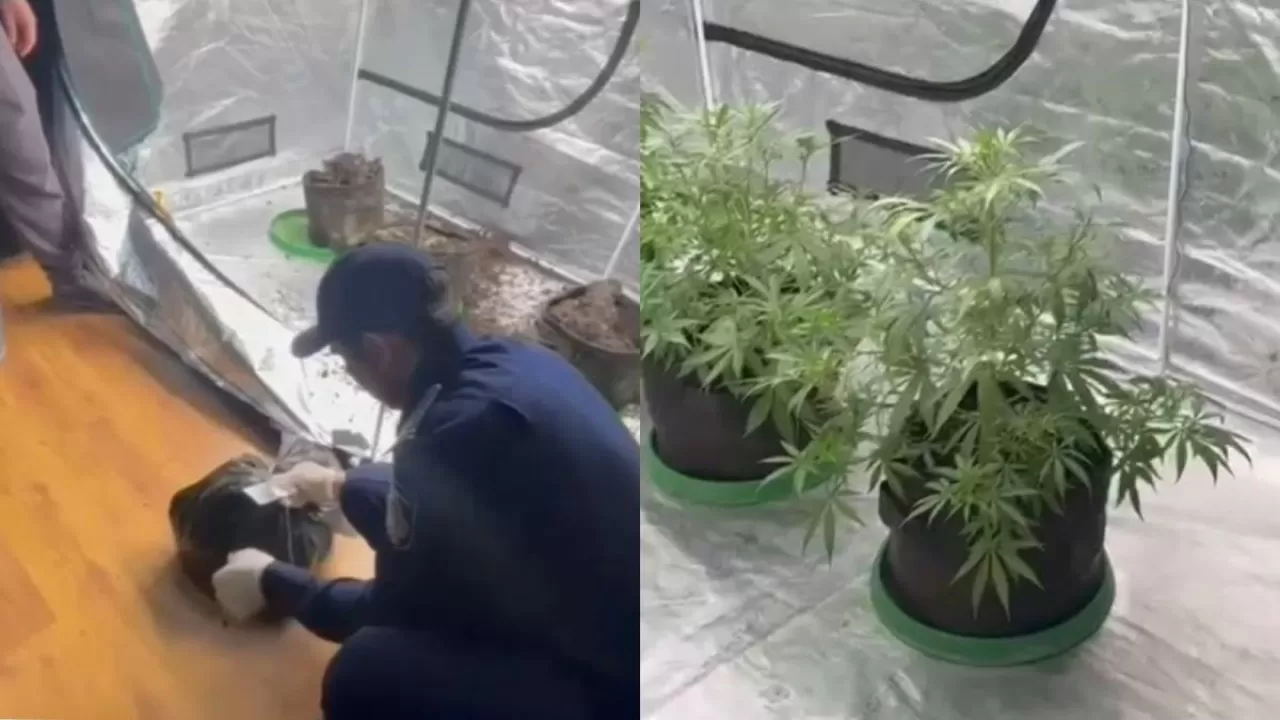 В квартире Алматы нашли подпольную нарколабораторию 