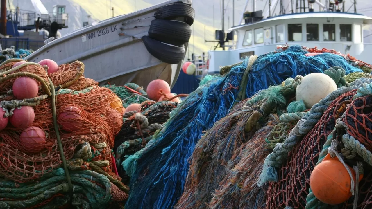 Протест рыбаков: как акульи головы перед офисом министра в Австралии 