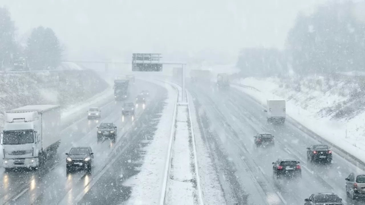 Смертоносный шторм "Ханнес" в Европе: падающие деревья убивают людей