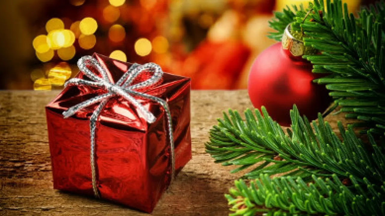 ІІМ ескертеді: Мереке қарсаңында алаяқтардың белсенділігі артады