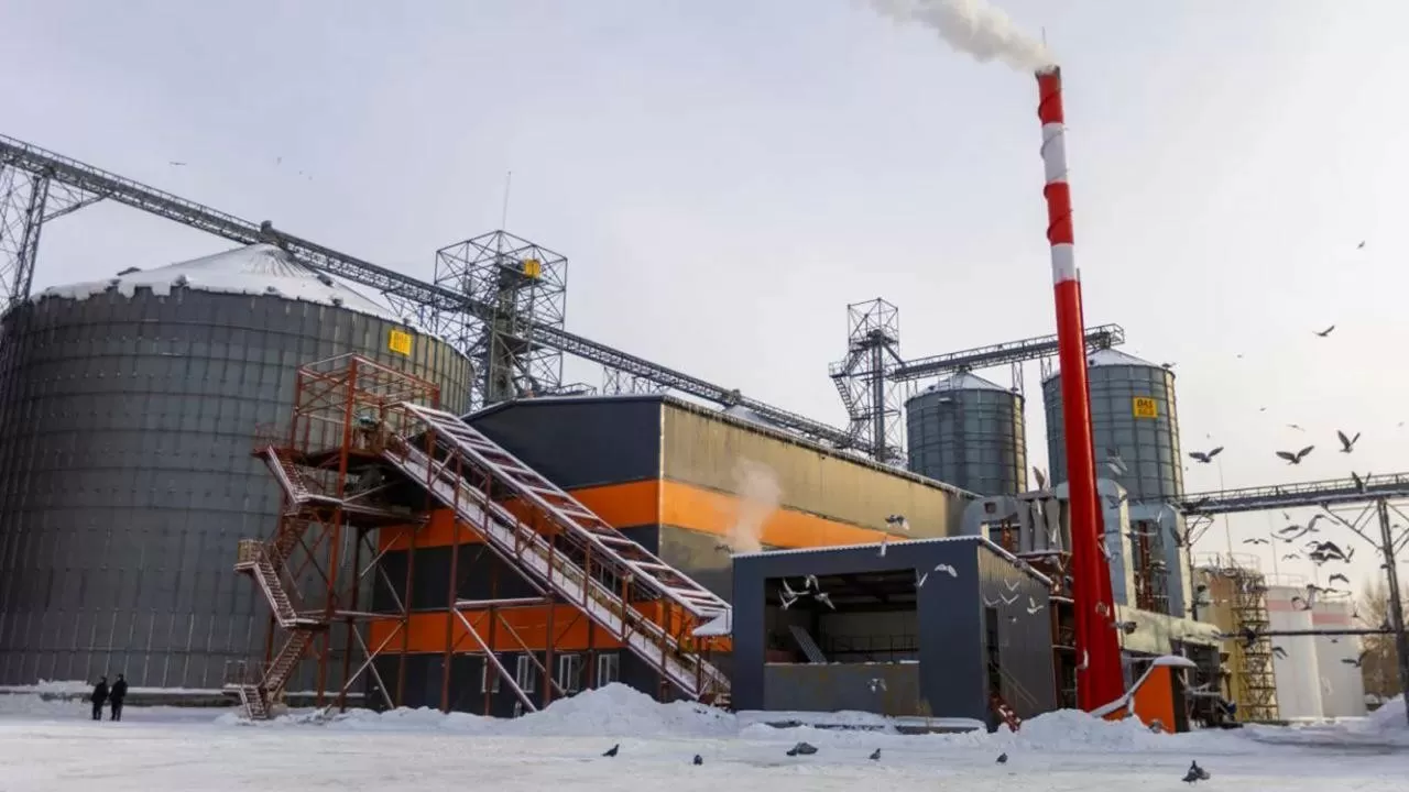500 тонн в сутки: в Усть-Каменогорске запущен мощный маслозавод  